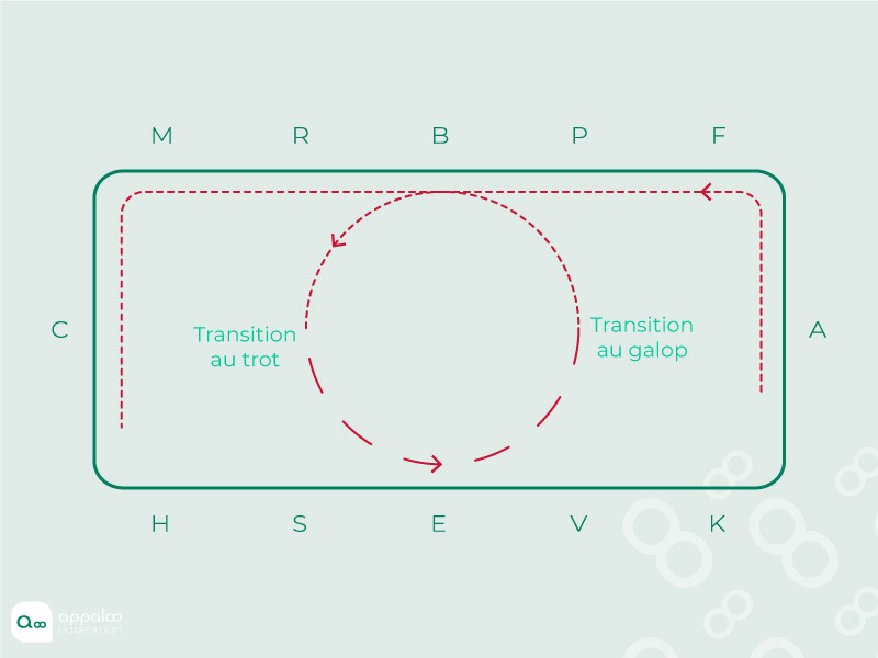 Transition-sur-le-cercle.jpg