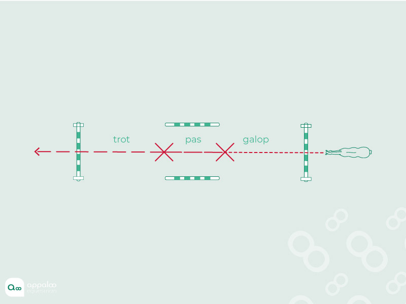 Transition-sur-une-ligne.jpg
