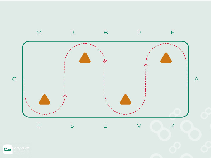 zig-zag.jpg